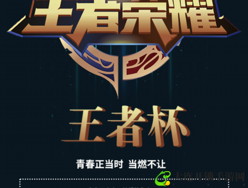 电玩福袋的购买技巧与推荐商品解析