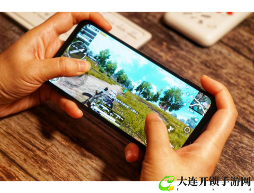 口袋妖怪双子星的奇幻冒险与成长之旅