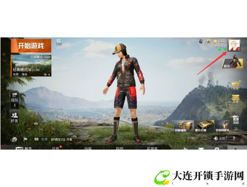 模拟狮子游戏全攻略 技巧与生存策略详解