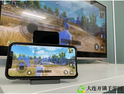 精灵宝可梦XY全攻略从入门到精通的全面指南