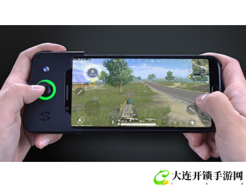美国人与猪DNA对比：揭示基因奥秘与健康应用