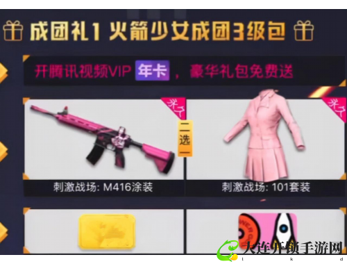 金毛陪伴四年无忧，记录你的宠物成长之旅