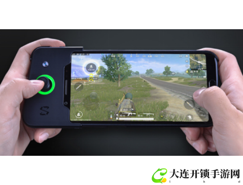 青叶雫-一朵绽放在文字里的花