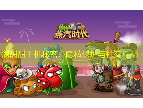 潘甜甜手机秘密：隐私保护与社交互动