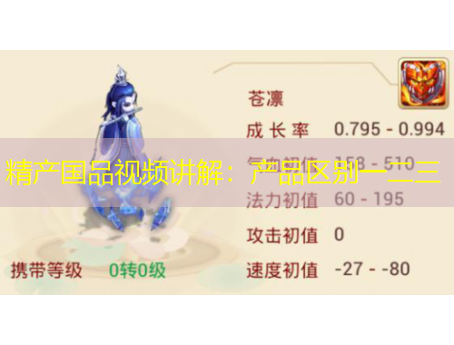精产国品视频讲解：产品区别一二三