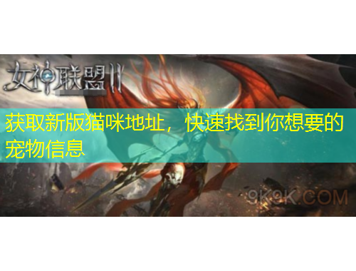 获取新版猫咪地址，快速找到你想要的宠物信息