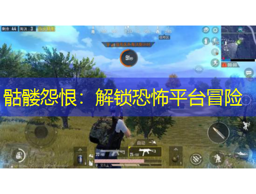 骷髅怨恨：解锁恐怖平台冒险