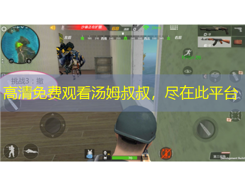 高清免费观看汤姆叔叔，尽在此平台