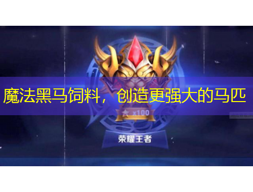 魔法黑马饲料，创造更强大的马匹