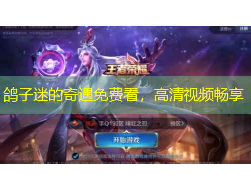 鸽子迷的奇遇免费看，高清视频畅享
