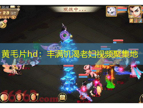 黄毛片hd：丰满饥渴老妇视频聚集地