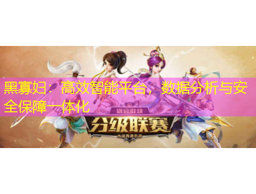 黑寡妇：高效智能平台，数据分析与安全保障一体化