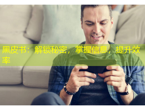 黑皮书：解锁秘密，掌握信息，提升效率