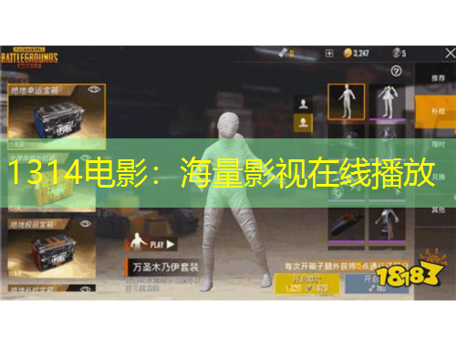 1314电影：海量影视在线播放