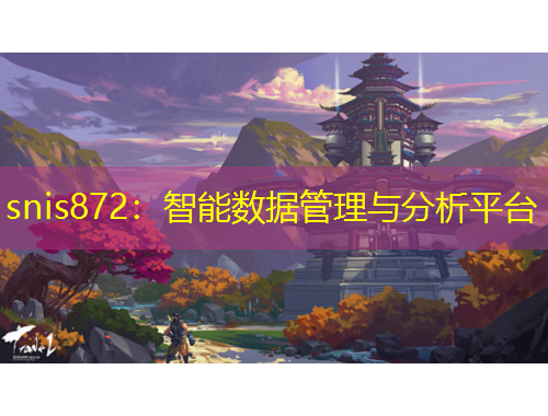 snis872：智能数据管理与分析平台