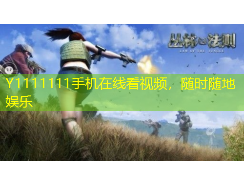 Y1111111手机在线看视频，随时随地娱乐