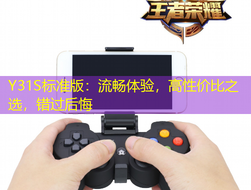 Y31S标准版：流畅体验，高性价比之选，错过后悔