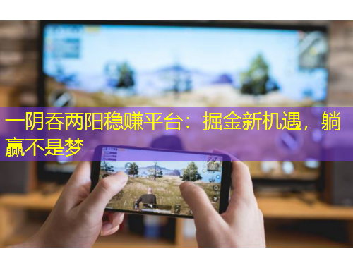 一阴吞两阳稳赚平台：掘金新机遇，躺赢不是梦