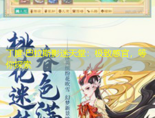 丁度·巴拉斯影迷天堂：极致感官，等你探索