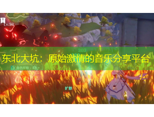 东北大坑：原始激情的音乐分享平台