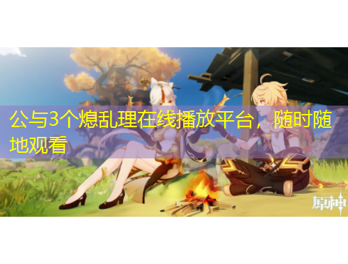公与3个熄乱理在线播放平台，随时随地观看