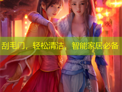 刮毛门，轻松清洁，智能家居必备