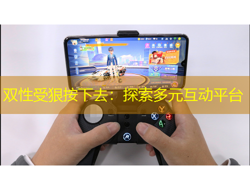 双性受狠按下去：探索多元互动平台