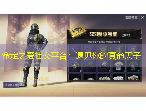 命定之爱社交平台：遇见你的真命天子