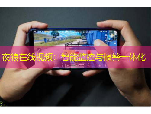 夜狼在线视频：智能监控与报警一体化