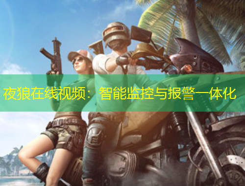 夜狼在线视频：智能监控与报警一体化