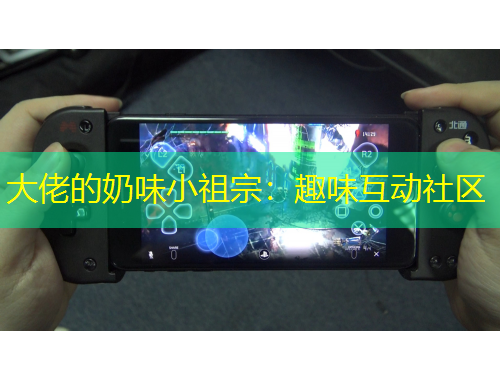 大佬的奶味小祖宗：趣味互动社区