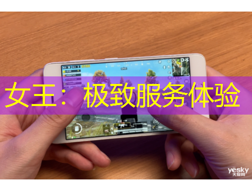 女王：极致服务体验