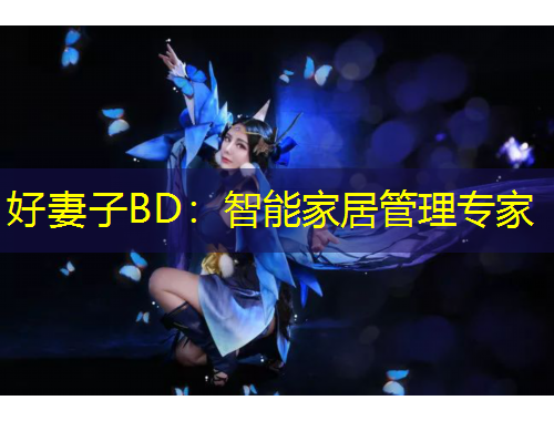 好妻子BD：智能家居管理专家