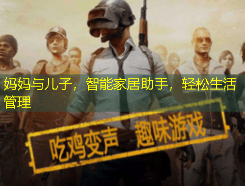 妈妈与儿子，智能家居助手，轻松生活管理