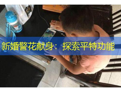 新婚警花献身：探索平特功能