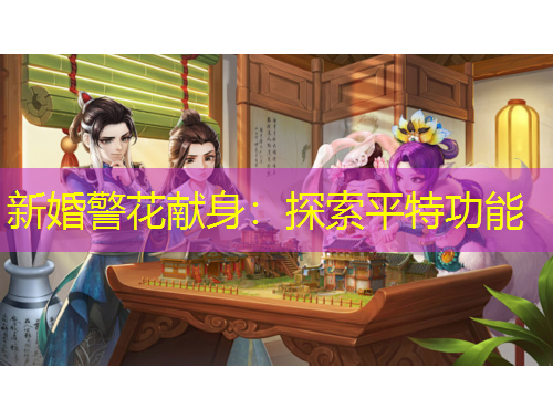 新婚警花献身：探索平特功能