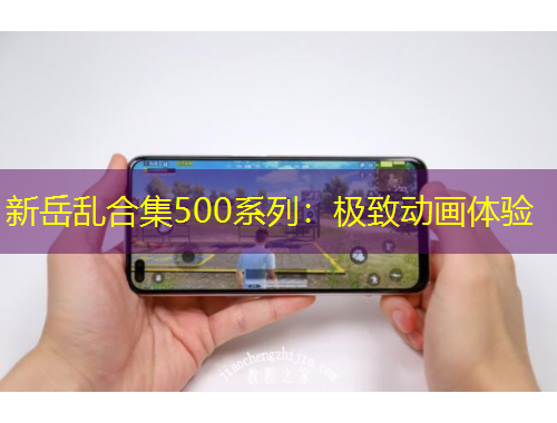 新岳乱合集500系列：极致动画体验