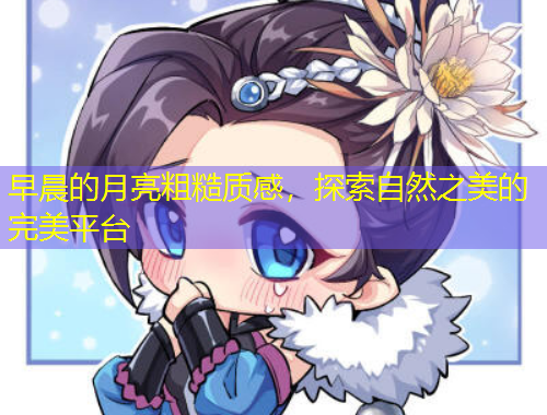 早晨的月亮粗糙质感，探索自然之美的完美平台