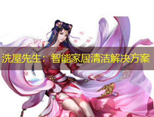 洗屋先生：智能家居清洁解决方案