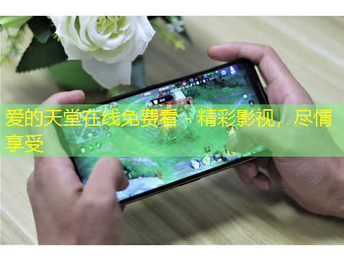 爱的天堂在线免费看 - 精彩影视，尽情享受