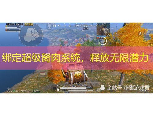 绑定超级胬肉系统，释放无限潜力