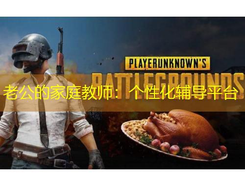 老公的家庭教师：个性化辅导平台