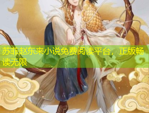 苏菲赵东来小说免费阅读平台，正版畅读无限