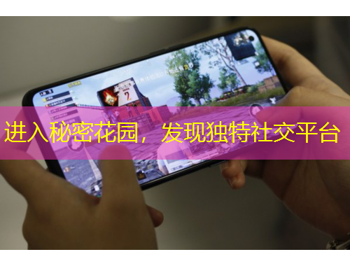 进入秘密花园，发现独特社交平台