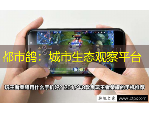 都市鸽：城市生态观察平台