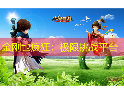 金刚也疯狂：极限挑战平台