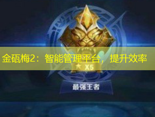 金砙梅2：智能管理平台，提升效率