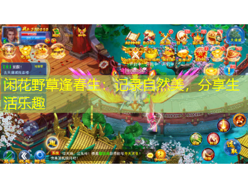 闲花野草逢春生：记录自然美，分享生活乐趣