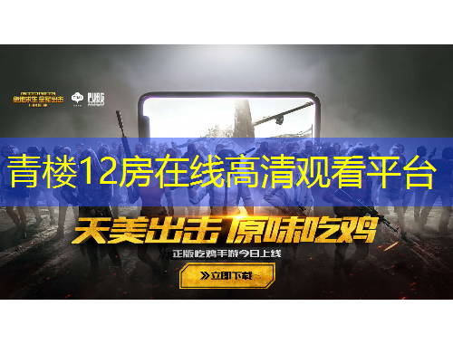 青楼12房在线高清观看平台